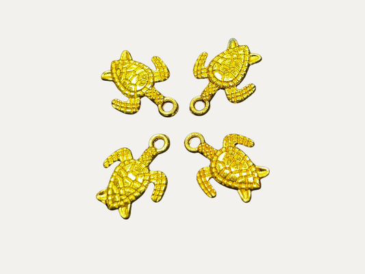 Charms Tortue 𓆉︎